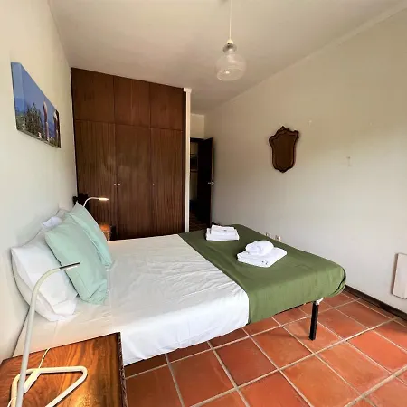 Typical 1 With Pool By Homing *